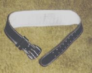 Support Belt